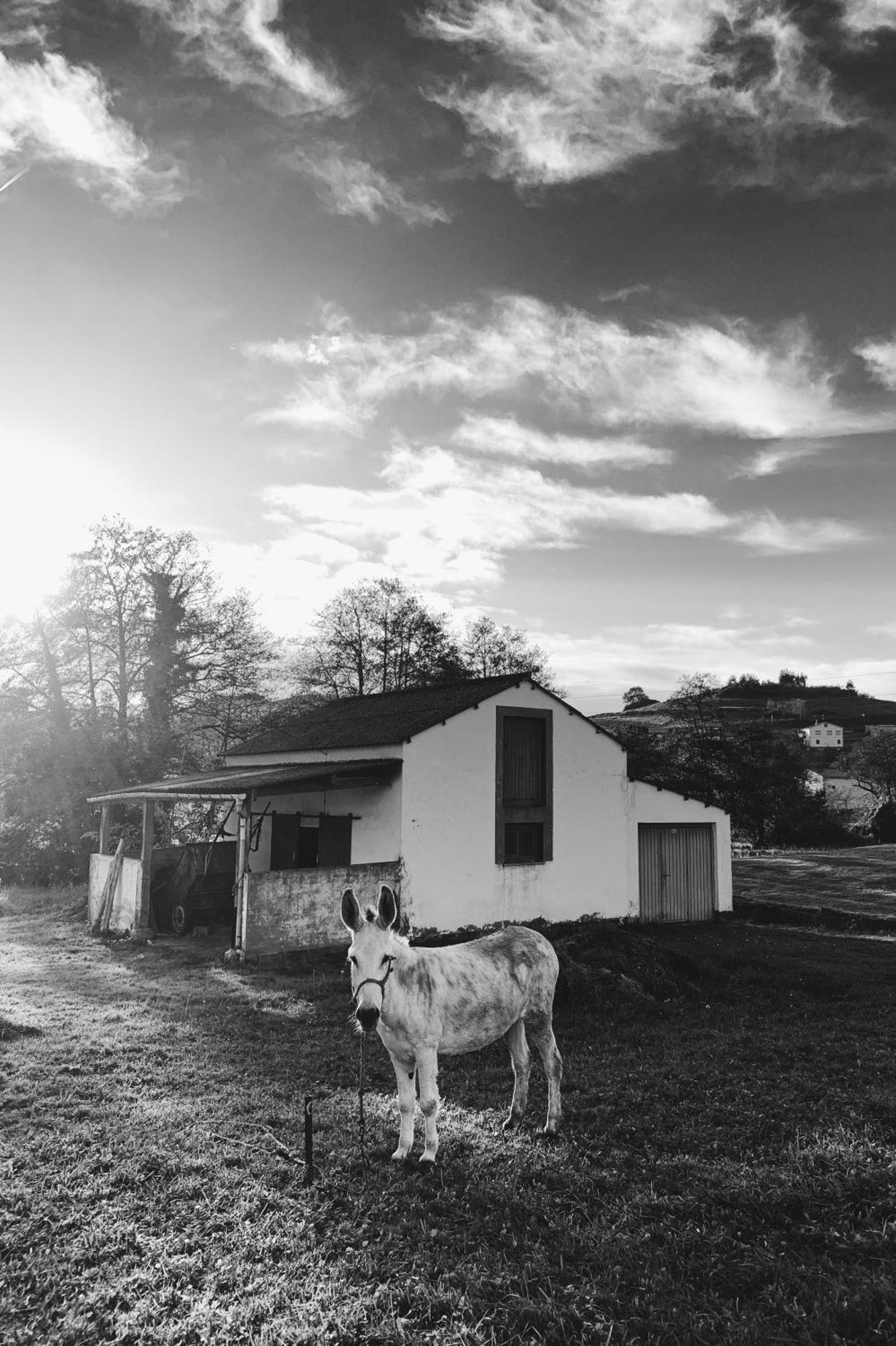 Estudio 33 La Arena エクステリア 写真